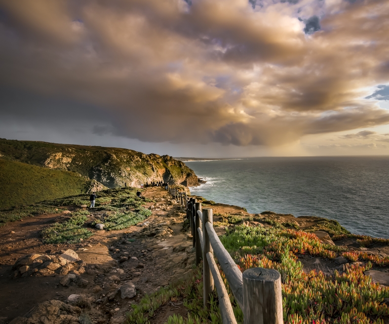 _DSC96691vignedefrit